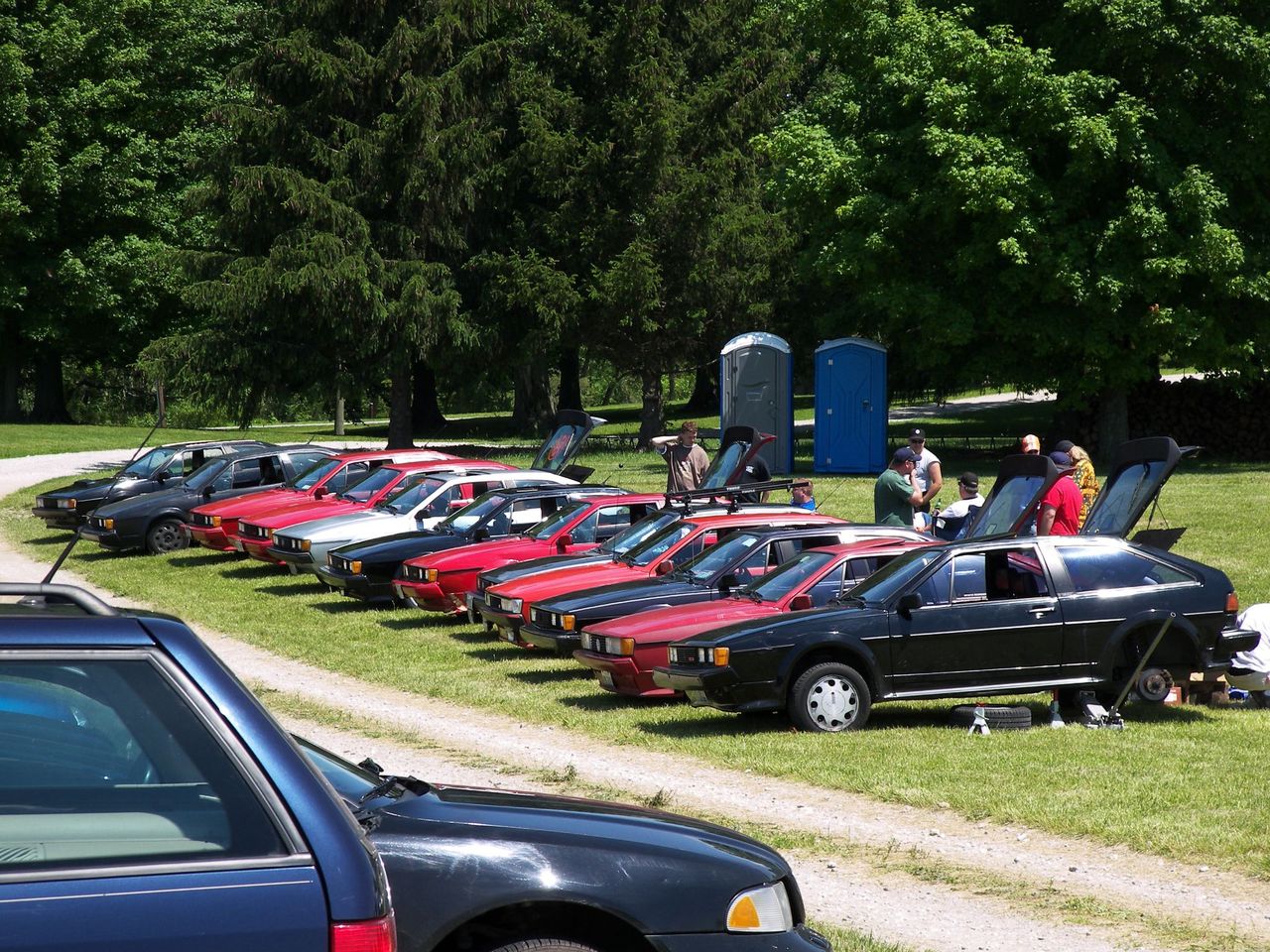 More Rocs in the yard