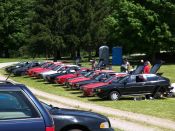 More Rocs in the yard