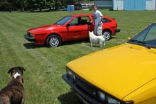 IMG_8554CanineGreeters