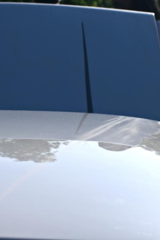 IMG_8620RainStreakedCallaway