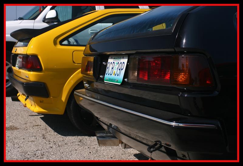 IMG_8704SexyTushiesjpg