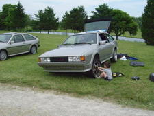 Carla Young's Pictures